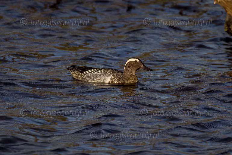 2021_04_21 Munnikenland en Capreton